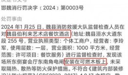 重大新闻事件爆料视频下载,独家视频爆料深度解析