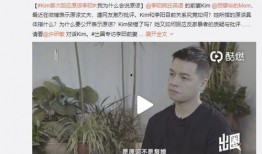 马洪亮前妻爆料视频,揭秘婚姻内幕与情感纠葛